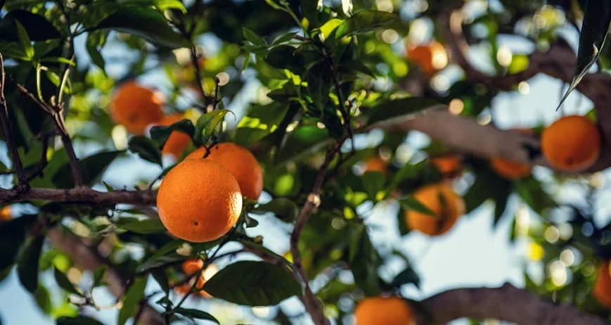 There are many variations of passages of Lorem Ipsum available, but majority have suffered teration in some form, by injected humour, or randomised words which don't look even slight believable. If you are going to use a passage of Lorem Ipsum.